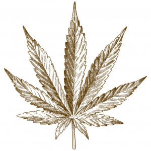 hemp-leaf_Hemp t-shirts